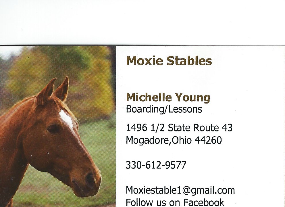 Michelle Young Moxie Stables
